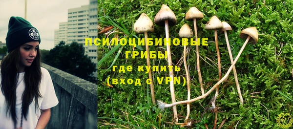 ешки Богданович